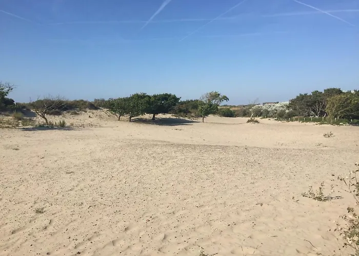 Appartamento Antonia House